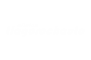 tiagorochauto logo